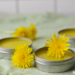 Learn how to Make Dandelion Salve (For Sore Muscle mass and Wholesome Pores and skin)
