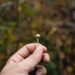 Psilocybin-assisted remedy for difficult-to-treat despair: underwhelming, however nonetheless important?