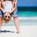 87 Humorous July Quotes for a Comfortable and Hilarious Summer time Month