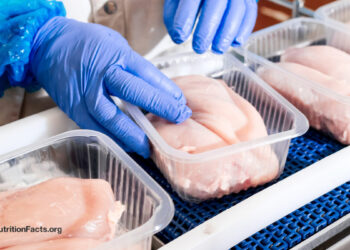 How Massive Is the Most cancers Threat from Processed Meat?
