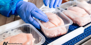 How Massive Is the Most cancers Threat from Processed Meat?