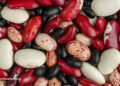Which Beans Finest Block the Unfold of Most cancers?