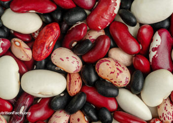 Which Beans Finest Block the Unfold of Most cancers?