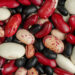 Which Beans Finest Block the Unfold of Most cancers?