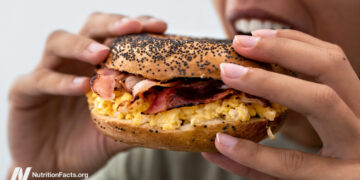 Can Extremely-Processed Meals Be Mounted by Tweaking Their Vitamins?