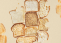 Is Bread Truly Wholesome? This is What Diet Consultants Say