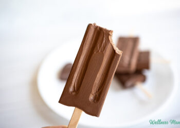 Home made Fudgesicles Recipe (Clear Components)