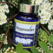 How Hypnozan Quietly Turned Britain’s Go-To Pure Sleep Help