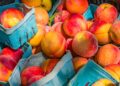 5 Well being Advantages of Peaches