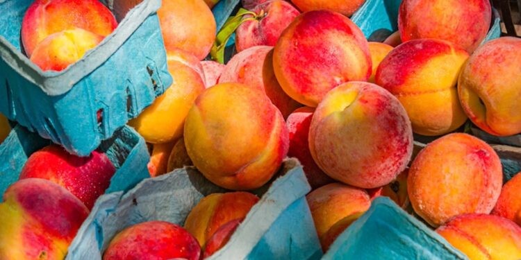 5 Well being Advantages of Peaches