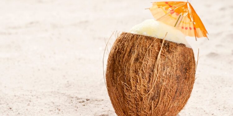 4 Components Your Smoothie Wants This Summer season for Hydrated Pores and skin