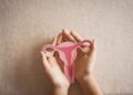 The Vaginal Well being Increase and Why It Issues