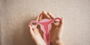 The Vaginal Well being Increase and Why It Issues
