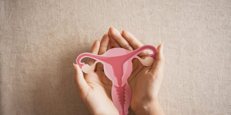 The Vaginal Well being Increase and Why It Issues