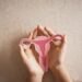 The Vaginal Well being Increase and Why It Issues