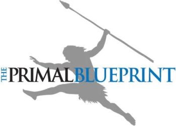 Definitive Information: The Primal Blueprint