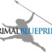 Definitive Information: The Primal Blueprint