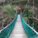 from CAMHS to grownup psychological well being companies