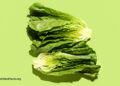 A Stunning Vegetable Method to Insomnia