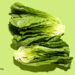A Stunning Vegetable Method to Insomnia