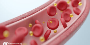 How a Single Meal Can Cripple Your Arteries and Lungs