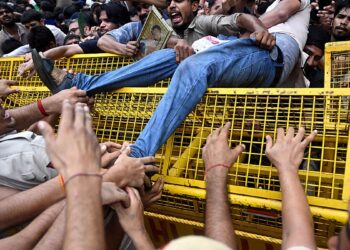 What Is the Youth-Led ‘Cockroach Motion’ Staging Mass Protests in India?