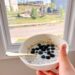 Crimson, White, and Blueberries • Kath Eats