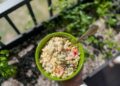 Creamy Tuna Pasta Salad with Lemon and Capers • Kath Eats