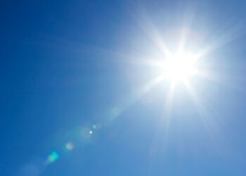 Primal Blueprint Legislation 8: Get Loads of Daylight