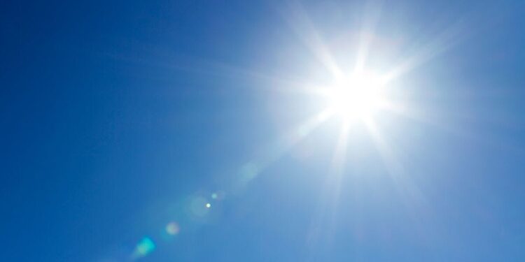 Primal Blueprint Legislation 8: Get Loads of Daylight