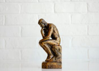 Social nervousness and government functioning: small however important hyperlinks