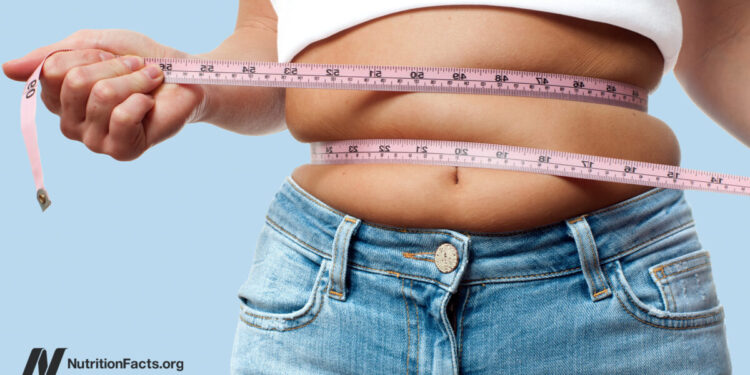 Weight Bias in Well being Care