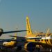 Google’s $10 Million Bid for Spirit Airways’ Knowledge Reveals AI’s Subsequent Frontier