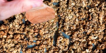 Protein Granola Recipe • Kath Eats