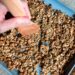 Protein Granola Recipe • Kath Eats