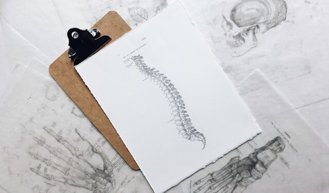 How Chiropractic Care Suits Into A Wholesome Life-style