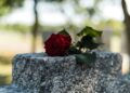 101 Demise Quotes That Will Make You Assume Otherwise About Life, Loss and Which means