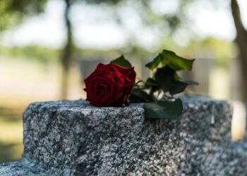 101 Demise Quotes That Will Make You Assume Otherwise About Life, Loss and Which means