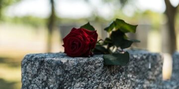 101 Demise Quotes That Will Make You Assume Otherwise About Life, Loss and Which means