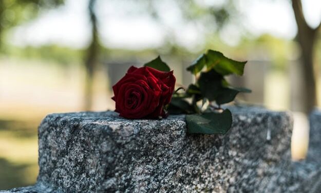 101 Demise Quotes That Will Make You Assume Otherwise About Life, Loss and Which means
