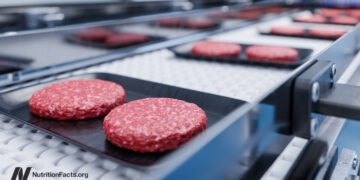 Meat Research Fail to Apply GRADE Correctly