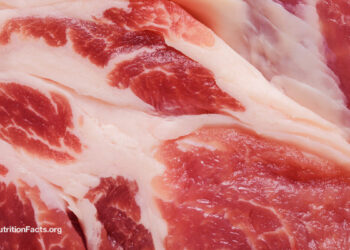 The Meat Papers Contradicted Their Personal Information