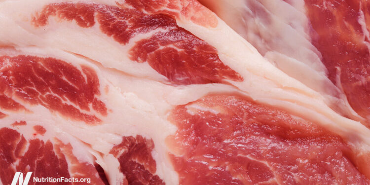 The Meat Papers Contradicted Their Personal Information