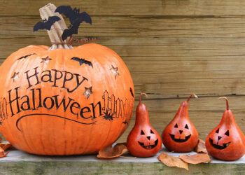 Humorous, Brief and Spooky Sayings