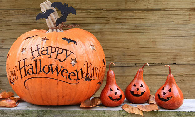 Humorous, Brief and Spooky Sayings