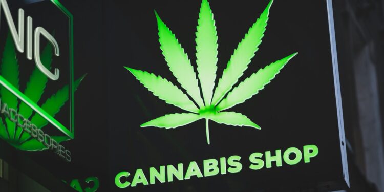 Understanding the psychological well being dangers linked with hashish use