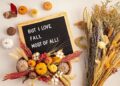 101 Fall Letter Board Quotes for Cute, Cozy and Stunning Autumn Vibes