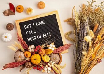 101 Fall Letter Board Quotes for Cute, Cozy and Stunning Autumn Vibes
