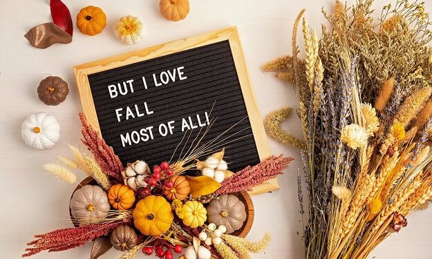 101 Fall Letter Board Quotes for Cute, Cozy and Stunning Autumn Vibes