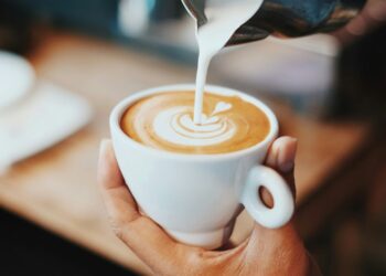 Espresso, tea and dementia danger: does your day by day brew assist?